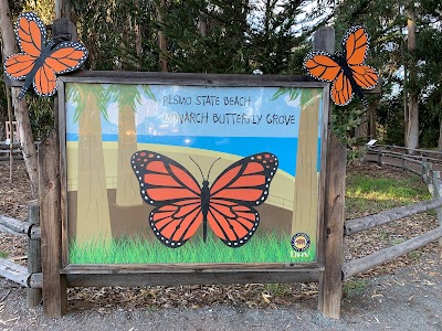 Monarch Butterfly Grove