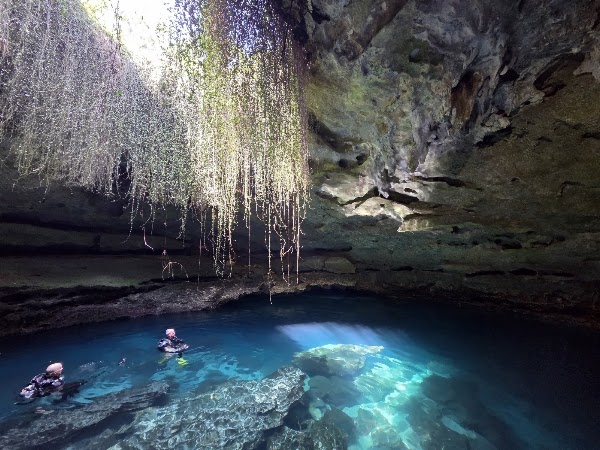 Devil's Den Prehistoric Spring and Campground 4