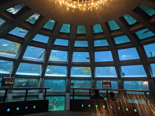 Seattle Aquarium 5