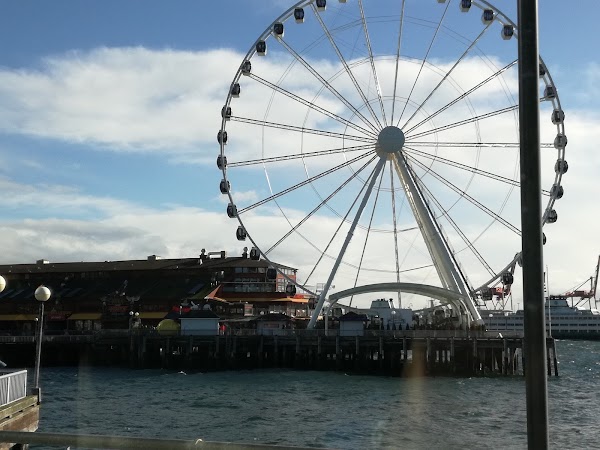 Seattle Aquarium 4