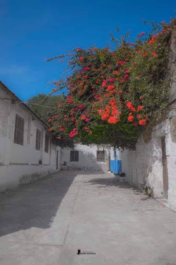 Medina 2