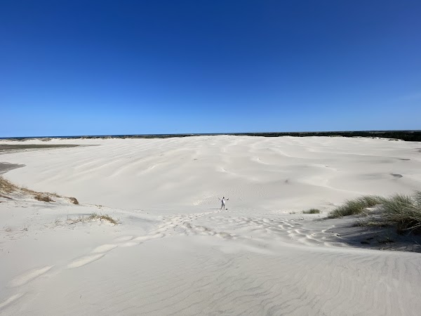 Råbjerg Mile