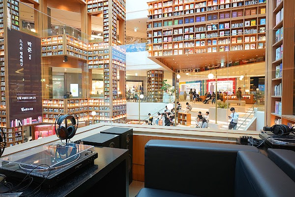 Vinyl Starfield Suwon 4