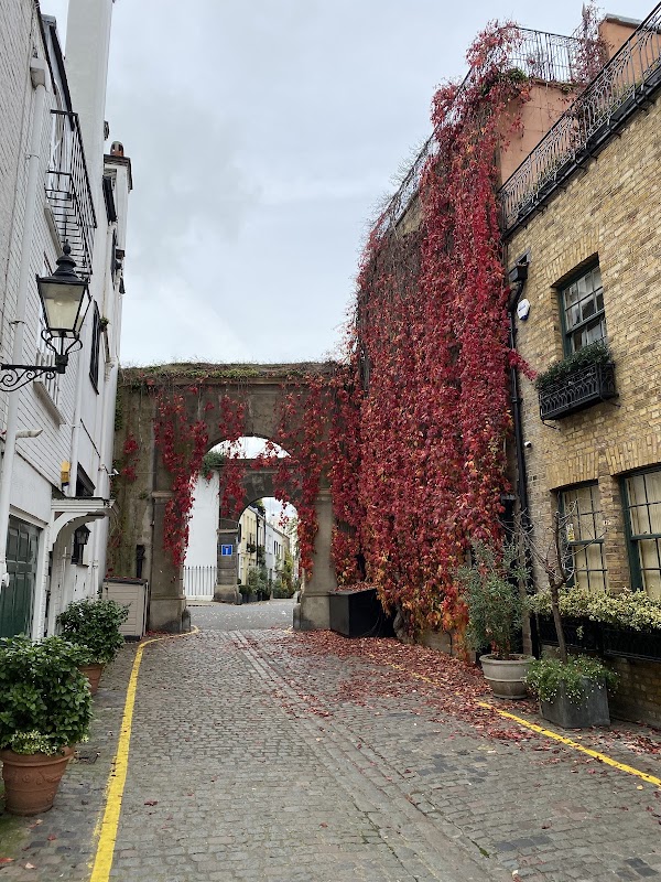 Kynance Mews