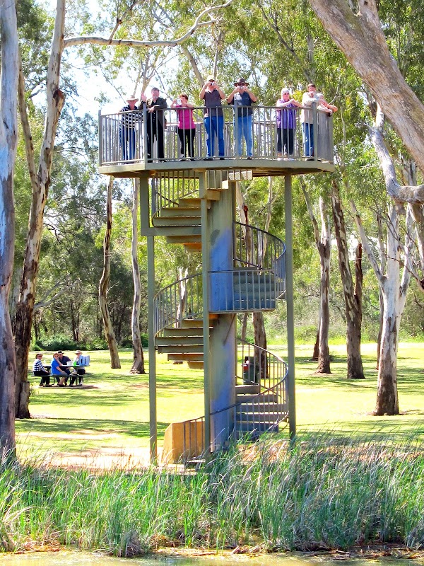 Darling and Murray River Junction and Viewing Tower 1