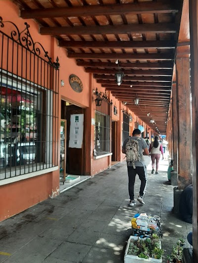 Guatemala  7