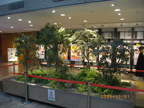 Shibuya Mark City 1
