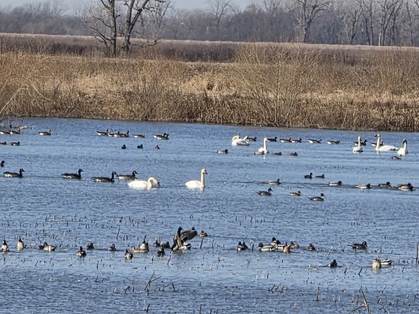 Loess Bluffs National Wildlife Refuge 1
