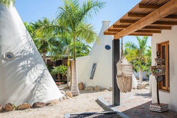 Tribu Todos Santos 1