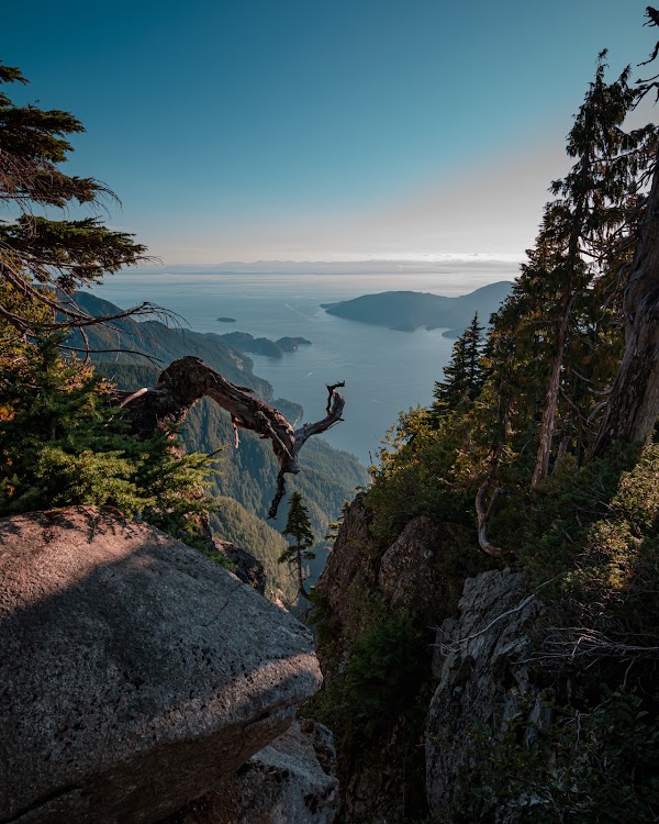 Saint Mark's Summit 5