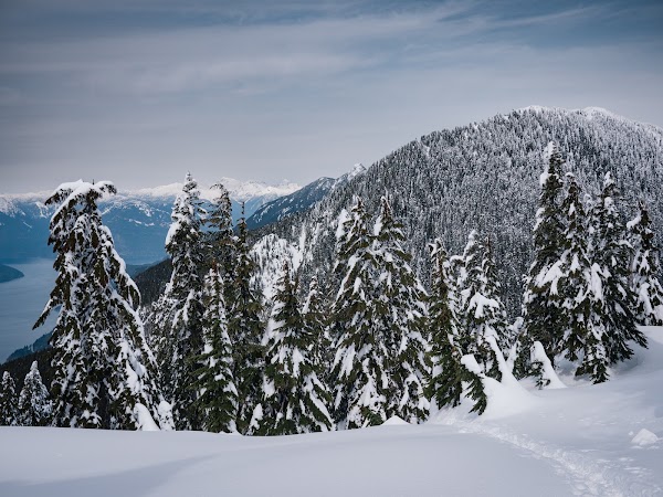Saint Mark's Summit 3