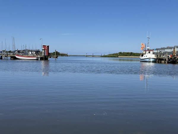Ringkøbing Fjord 1