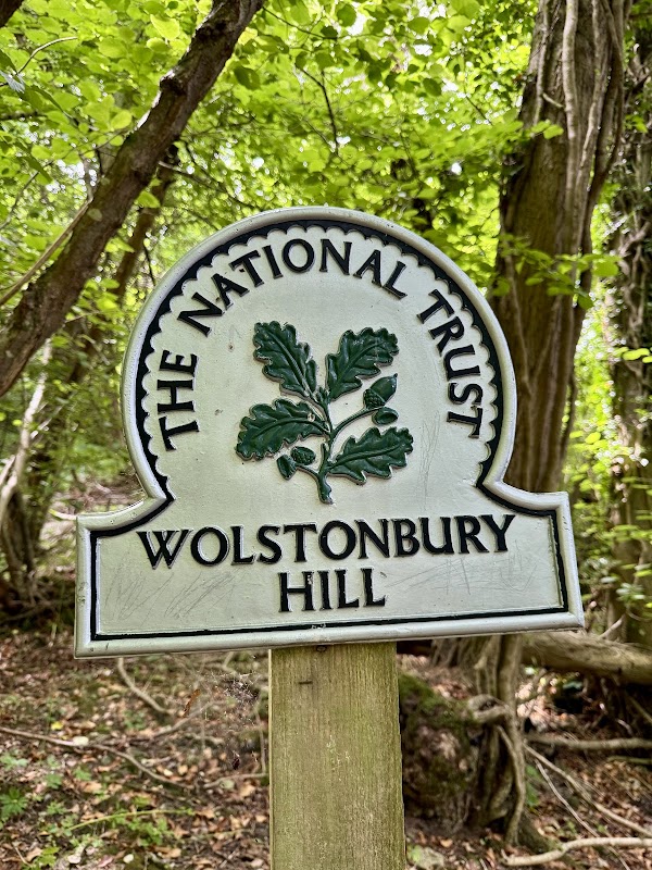 National Trust Wolstonbury Hill 3