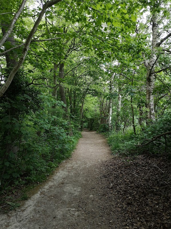 National Trust Wolstonbury Hill 2