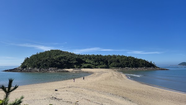 Miracle Sea Road in Sol Beach Jindo 1