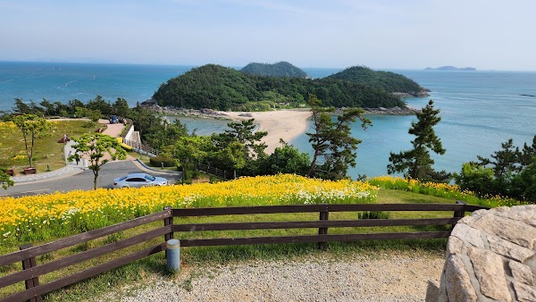 Miracle Sea Road in Sol Beach Jindo 5