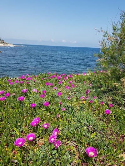 Dénia