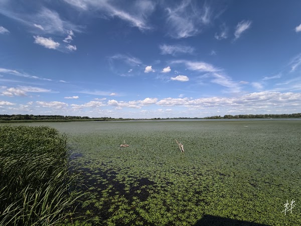Tisza-tavi Vízi Sétány 5