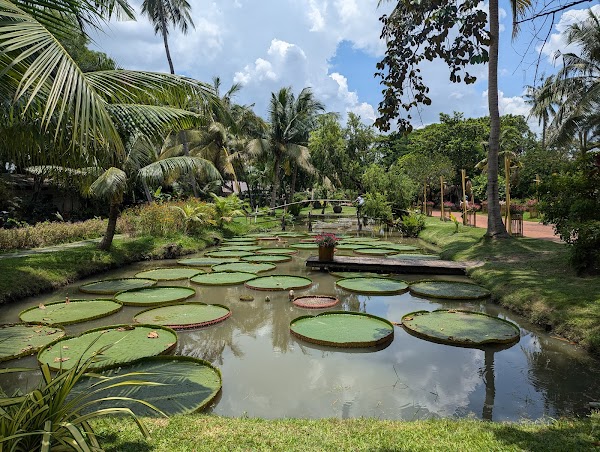 Vietnam must visit 2026 35