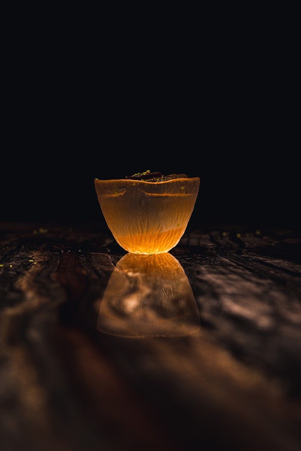 The Savory Project 5