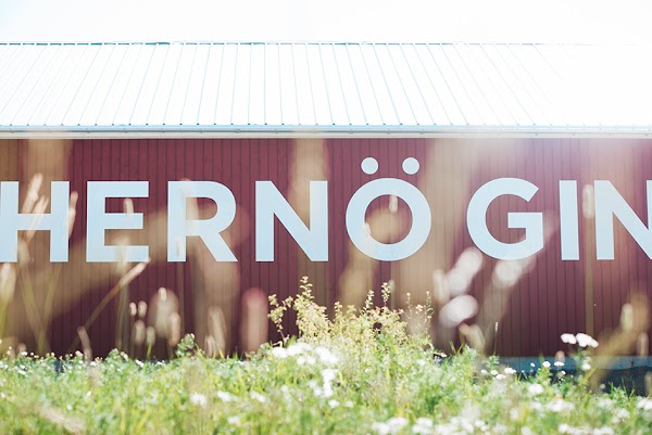 Hernö Gin