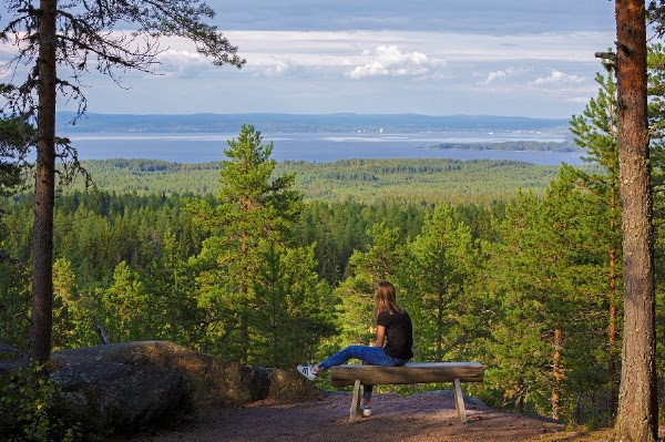 Naturum Dalarna