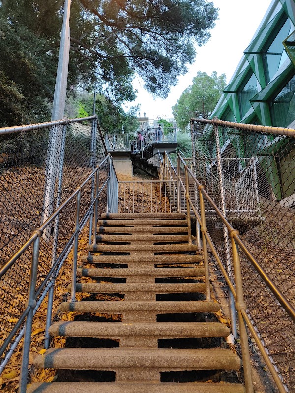 Jacob's Ladder 1