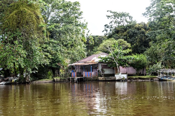 Tortuguero 4