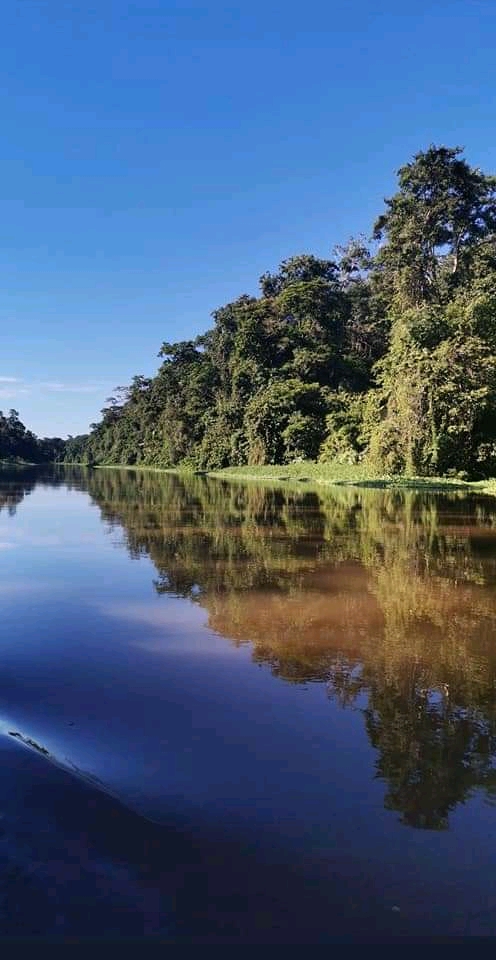 Tortuguero 2