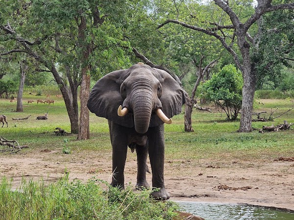 Majete Wildlife Reserve