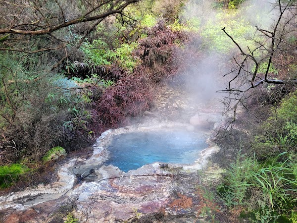 Orakei Korako Geothermal Park & Cave 3