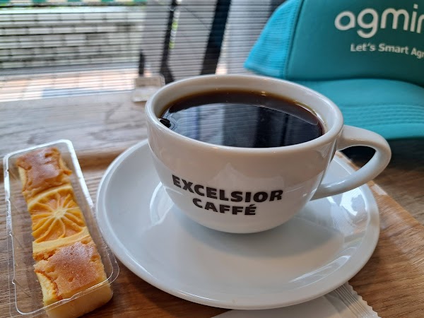 Excelsior Caffé Shinjuku Sompo Japan Building 3