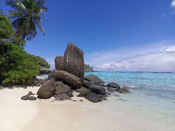 Anse Royale Beach 1