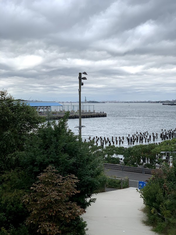 Squibb Park Bridge 5