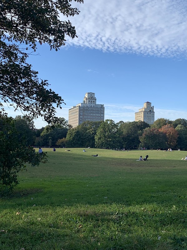 Prospect Park 4