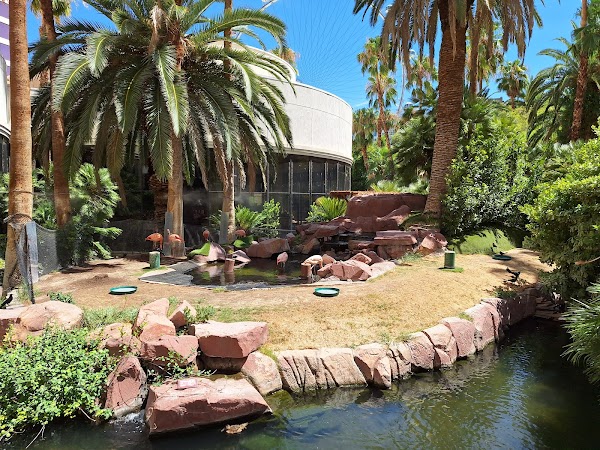 Flamingo Wildlife Habitat 1