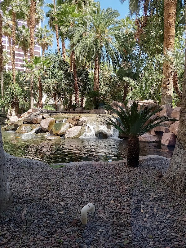 Flamingo Wildlife Habitat 4