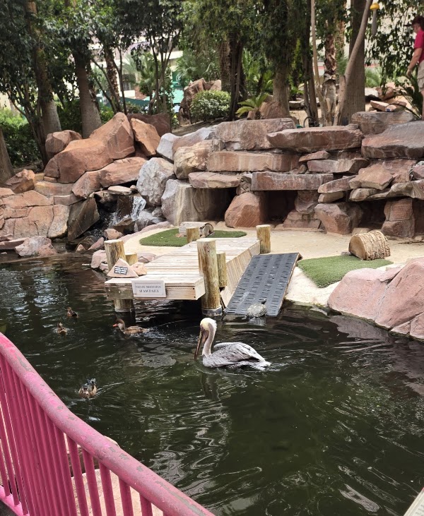Flamingo Wildlife Habitat 3