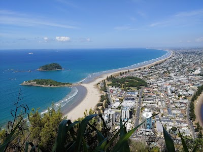 New Zealand 8