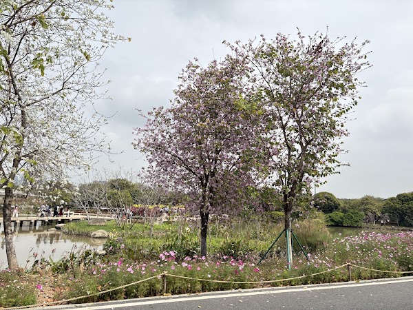 Guangdong Haizhu National Wetland Park 2