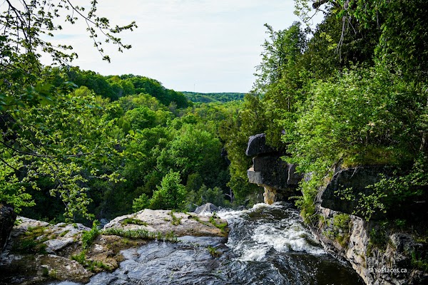 Inglis Falls Conservation Area 5