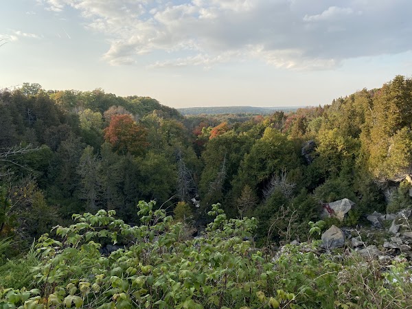 Inglis Falls Conservation Area 3