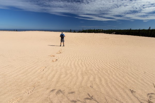 Athabasca Sand Dunes Provincial Park