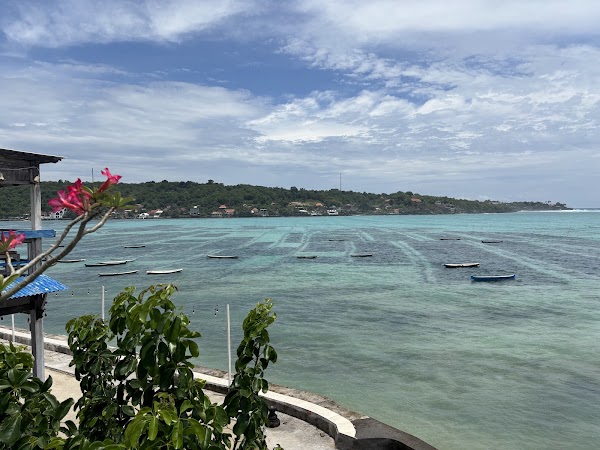 Seaweed farm area