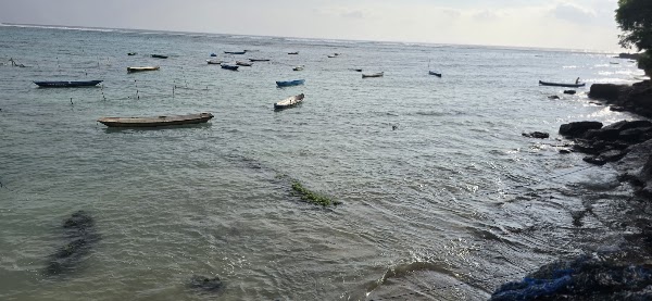 Seaweed farm area 4
