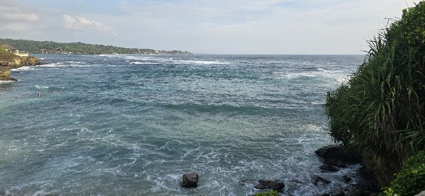 Seaweed farm area 2