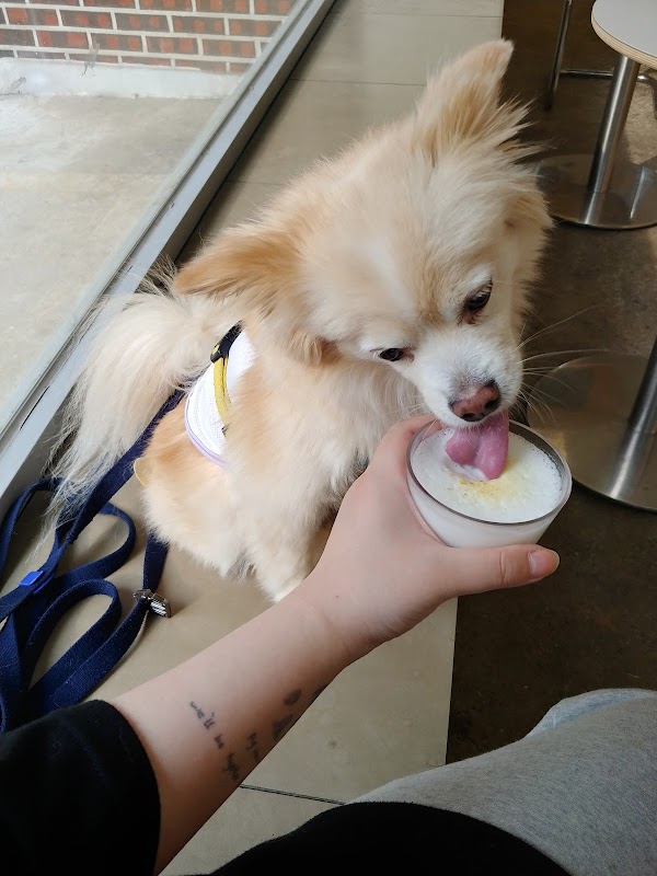 CAFE BITE ME 4