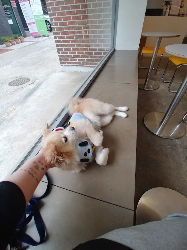 CAFE BITE ME 3