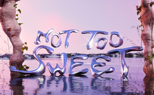 Not Too Sweet II 4