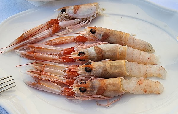 Locanda Don Ferrante - Apulian Restaurant 5